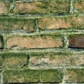 HVAC Warning Signs That May Point to Mold Testing Needs in St. Petersburg, FL