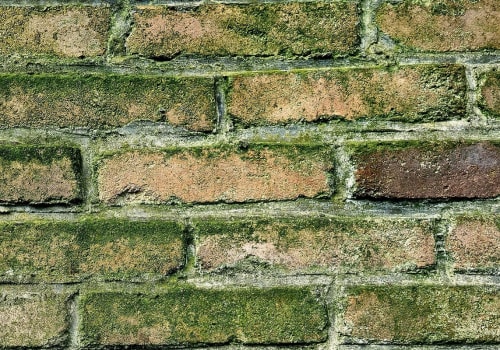 HVAC Warning Signs That May Point to Mold Testing Needs in St. Petersburg, FL